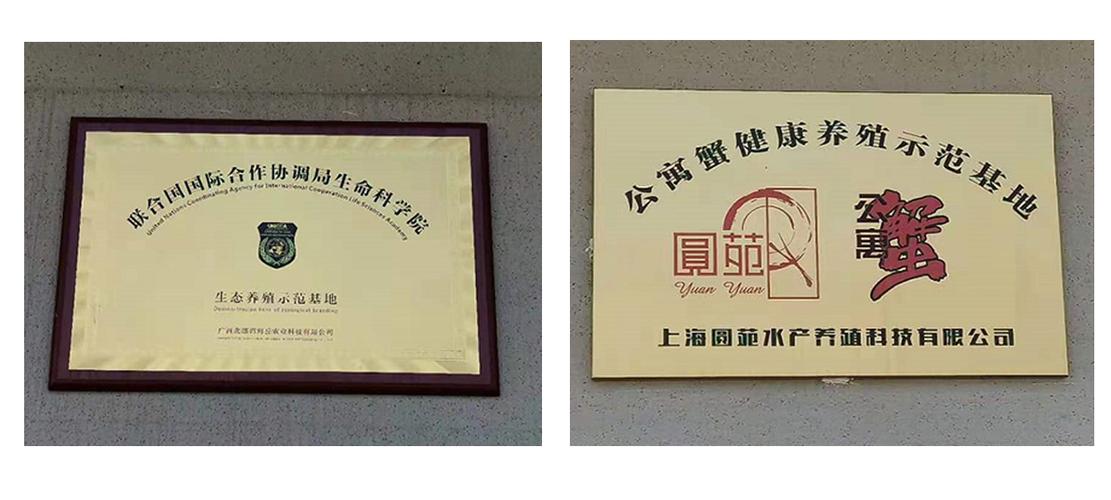 融入联合国项目体系，撑起日纳谷科技未来——中禾技术的战略升维与实践路径